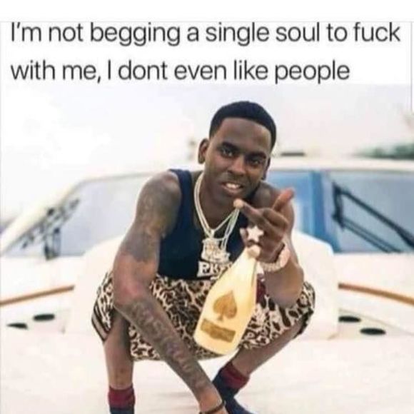 Meet your Posher, Dee - Picture 1 of 1